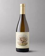 Bottle of Fume Blanc with gold capsule