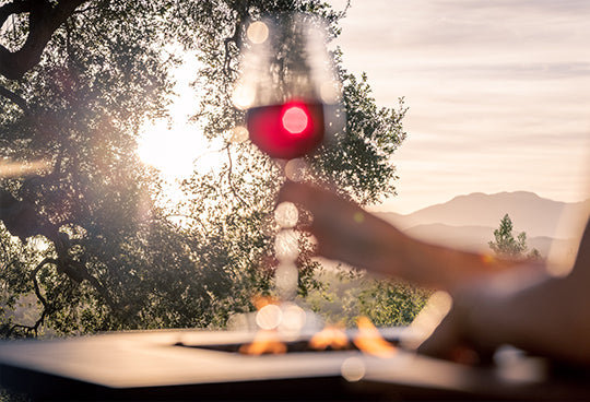 Wine glass in vineyard.