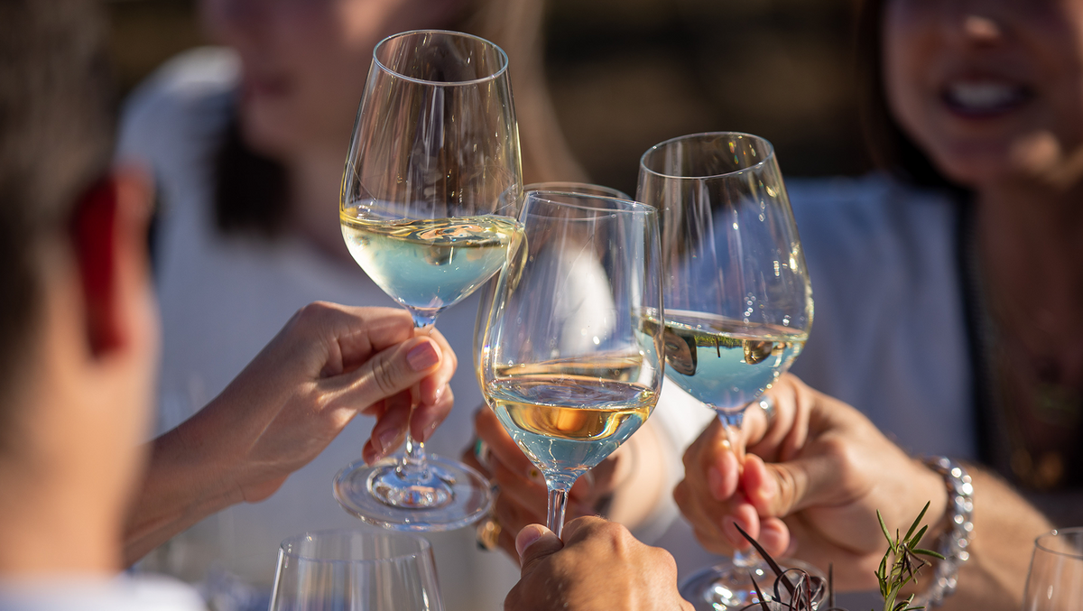 People toasting with wine glasses outdoors