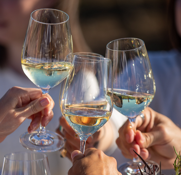 4 people holding glasses of white wine and cheersing their glasses