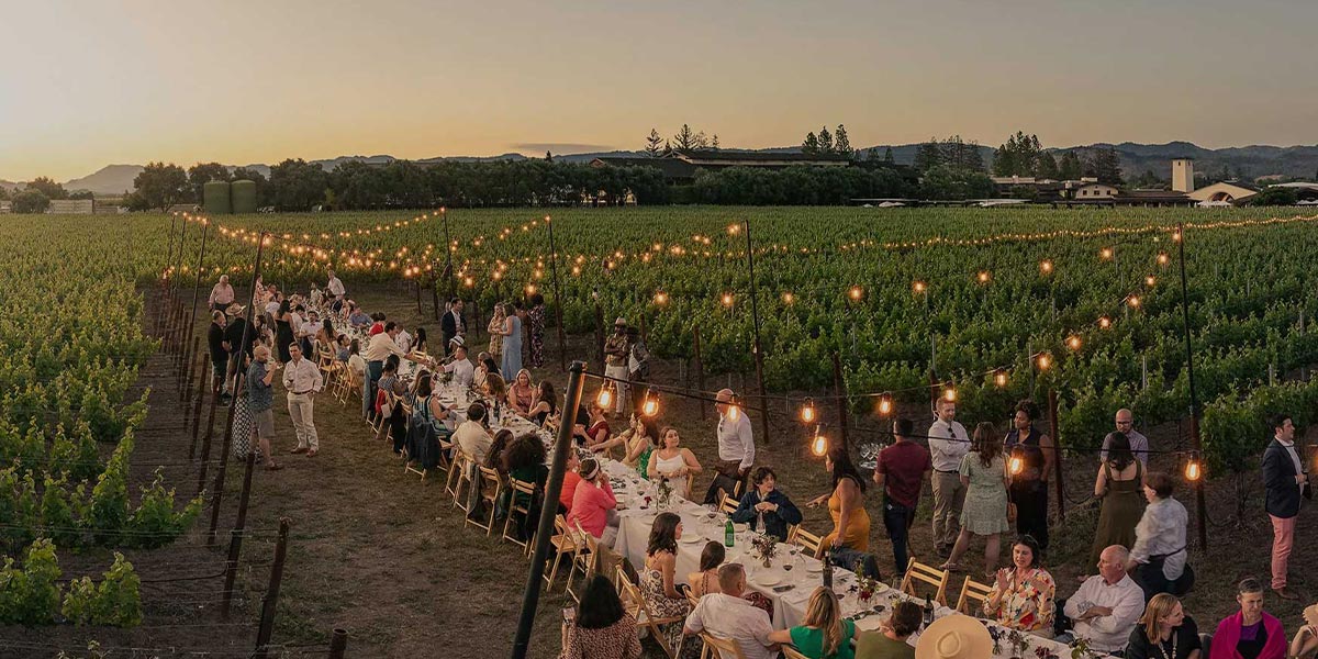 Dinner party in a vineyard with string lights and a scenic view.