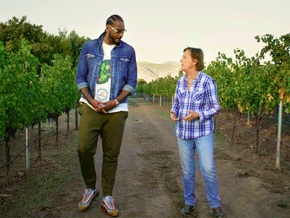 Two people standing in a vineyard discussing something.